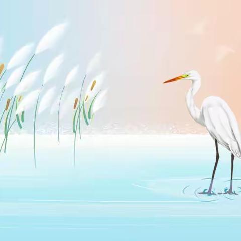 万厦世纪物业8月份简报