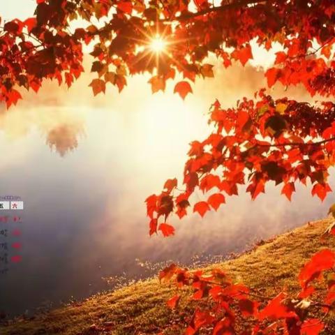 万厦世纪物业年10月简报