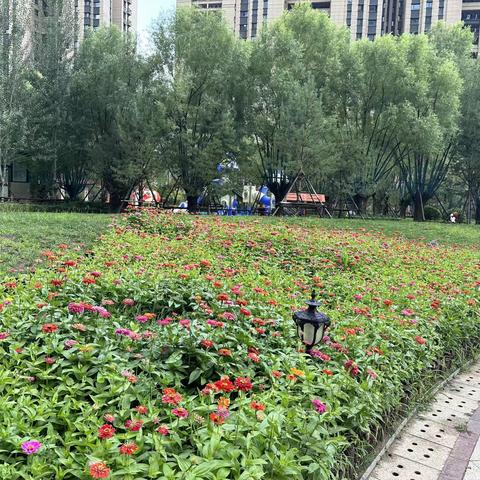 呼和浩特恒大城西区物业服务中心2023年7月工作总结