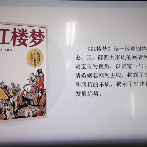 《红楼梦》整本书分享会 柳州市柳江区壮语文学校附属小学2019（3）班共读剪辑