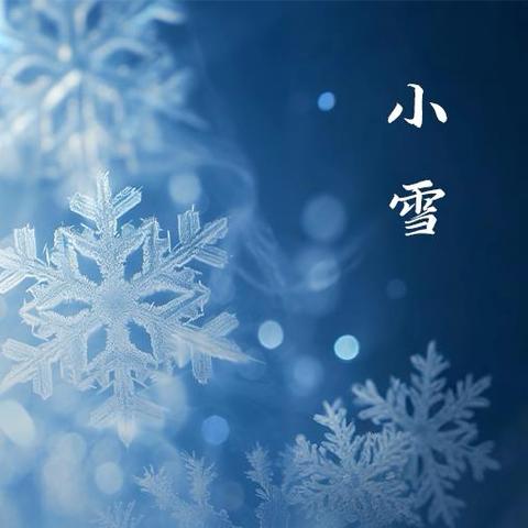 【活力校园】轻盈小雪至 童心暖寒冬——北河庄学区中心幼儿园小雪节气主题活动