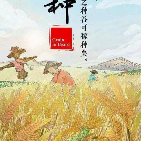 芒种芒种🌾🌾幸福播种——泗水县金庄镇中心幼儿园芒种主题活动