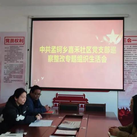 嘉禾社区社区党支部关于召开巡察整改专题组织生活会