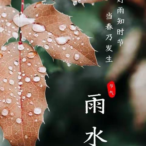 春意萌动 “雨”你相遇——华澳幼儿园“雨水”节气活动