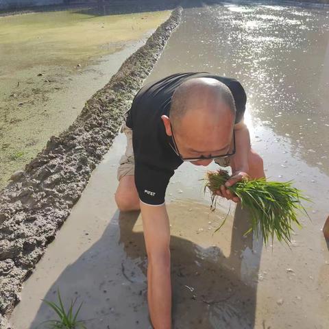 劳动实践促成长