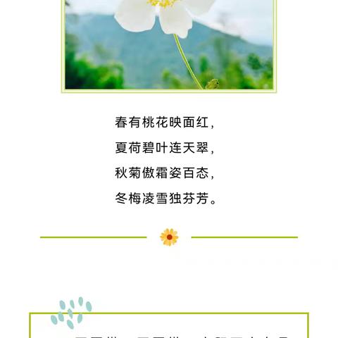 做一朵晚开的花——无为六中心理健康教育系列（二十）