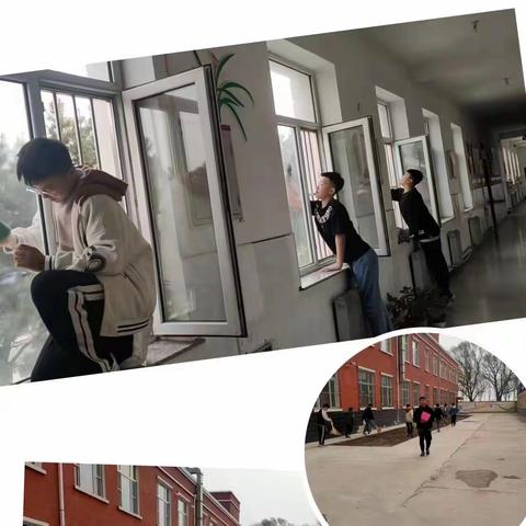 我和春天的“劳动派对”