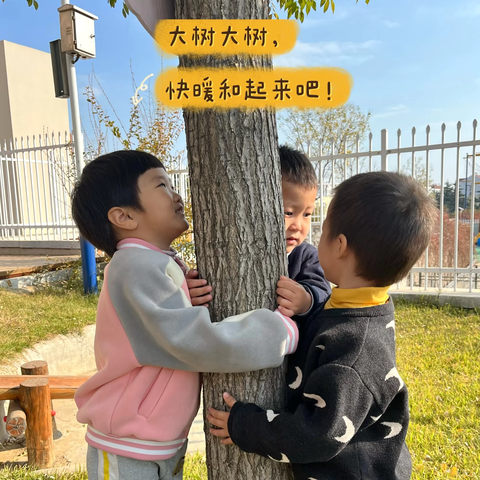 烟台市市级机关幼儿园海鱼班——我给小树穿冬衣，爱绿护绿添暖意