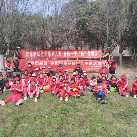 小手添新绿，家园更美丽