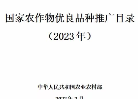 热烈祝贺“青杂5号”、“青杂12号”杂交油菜入选2023年《国家农作物优良品种推广目录》