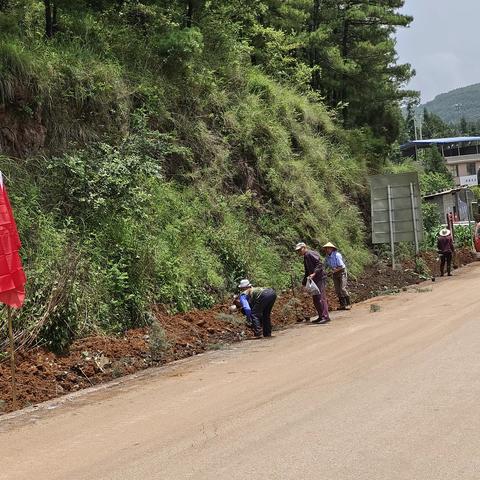 墨红社区党总支取山支部开展义务植树活动