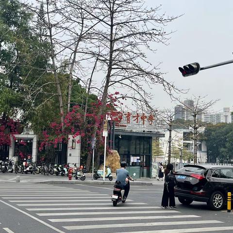 英语科组参加深圳市高三英语二轮复习专家讲座活动