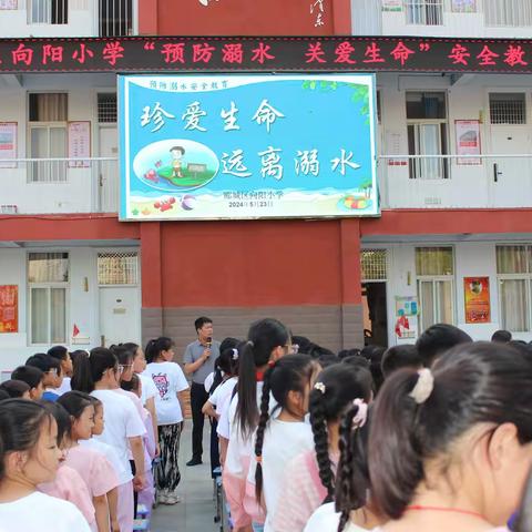 向阳小学防溺水安全教育活动