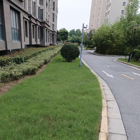 紫金佳苑七月工作汇报