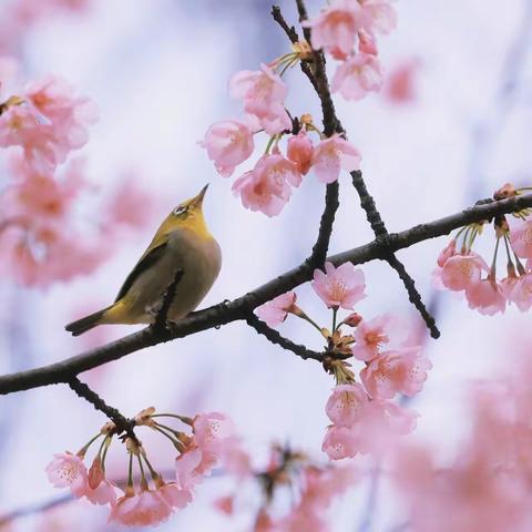 紫金佳苑第一季度工作汇报