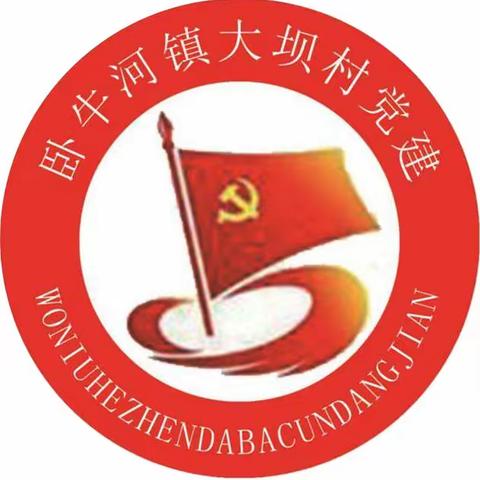 大坝村团支部学习二十大，永远跟党走