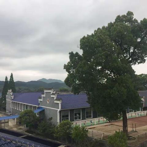 官渡镇启明完小2023年趣味运动会
