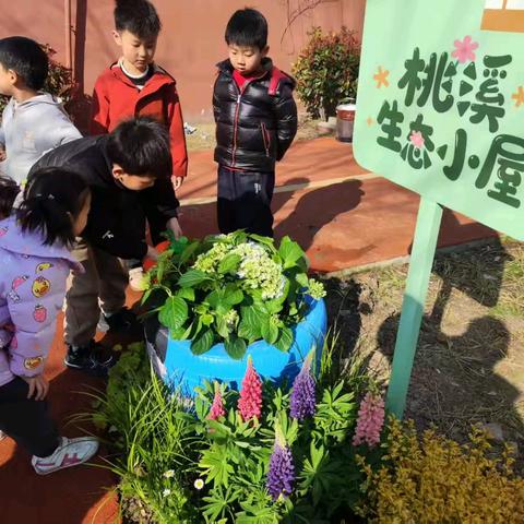 童趣童享，瑞香苑“桃溪生态小屋”正式落成