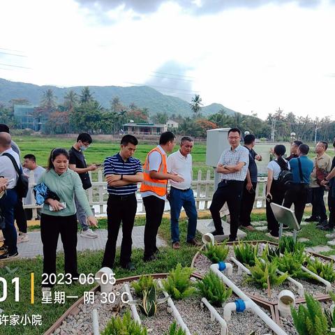 深入探索、积极研究落实“三大模式、六条路径”的海口市治理技术方案