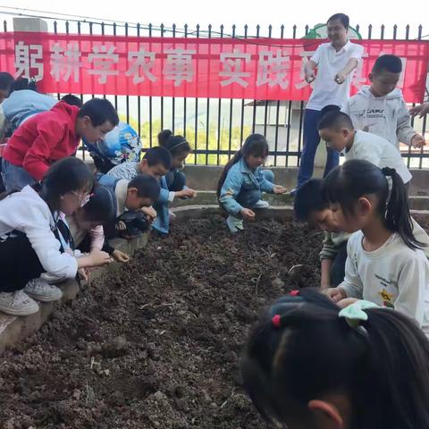 躬耕学农事 实践觅真知 ——巴州区白庙小学劳动课纪实