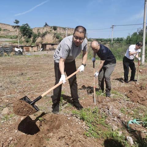 阳泉日报社团总支开展“春风十里·正‘植’有你”主题团日活动
