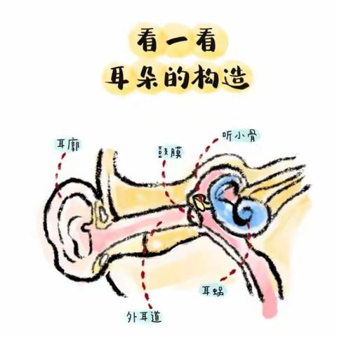 3.3全国爱耳日宣传