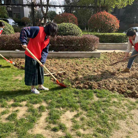 党建引领植新树，携手共建幸福家 ——万科魅力之城社区植树节活动