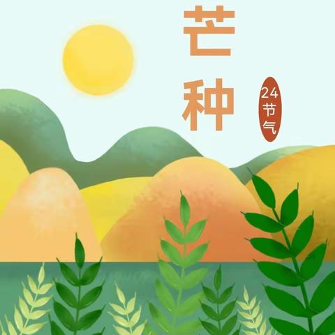 唯也纳幼儿园中一班——🌾🌾🌾二十四节气“芒种”节气主题活动