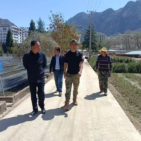 韩宝红深入冶力关林场 擘画生态建设新蓝图