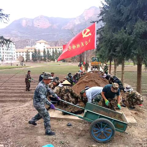 冶力关林场：机关下沉育苗一线 共绘林业发展新篇