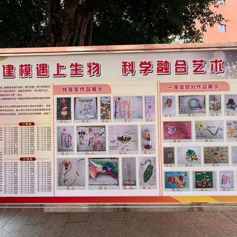 优化作业设计，发展核心素养 ———2024年湛江市义务教育阶段作业成果展示活动