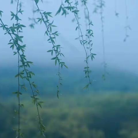 “缅怀革命先烈，赓续红色精神” 独山子区第二小学开展清明节系列活动