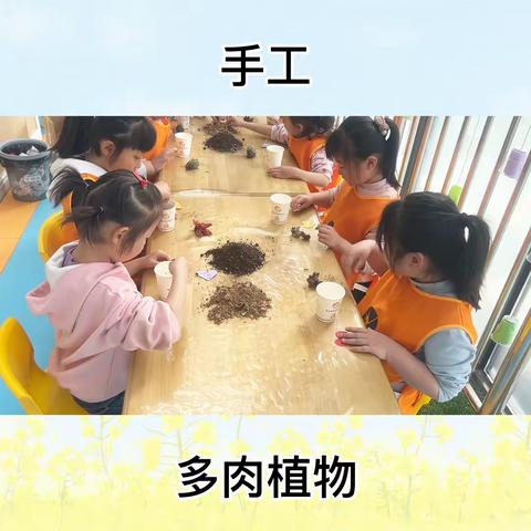 豪泽俪景幼儿园大一班一周小片段