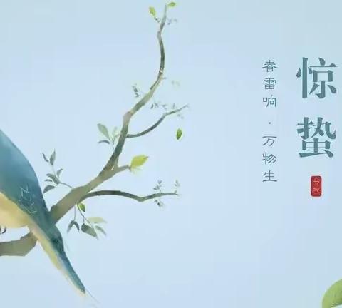 【融融春光，万物长，一雷惊蛰始】二十四节气之“惊蛰”银河中队活动