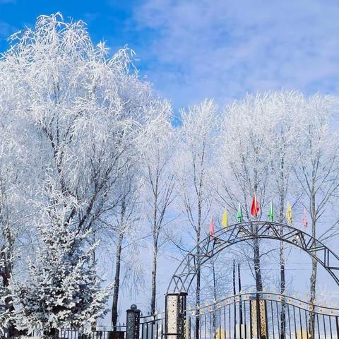 临河中学“弘扬冬奥精神，丰富冰雪文化”活动纪实