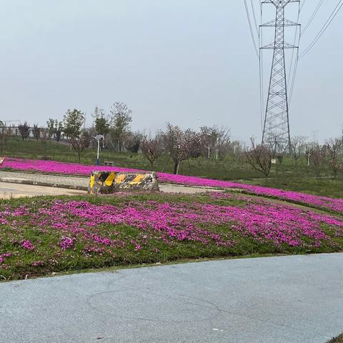 党建结对谋发展 村企共建促繁荣|国五公司党支部深入结对村开展党员义务日活动