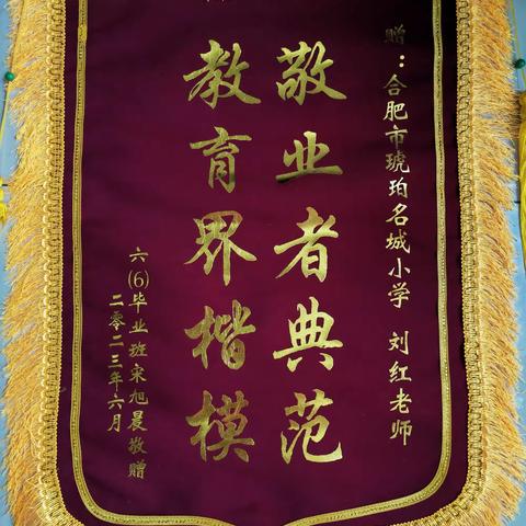 【“五心服务”之“知心”家书】桃李满天下 春晖遍四方—来自六（6）班家长的“一封家书”