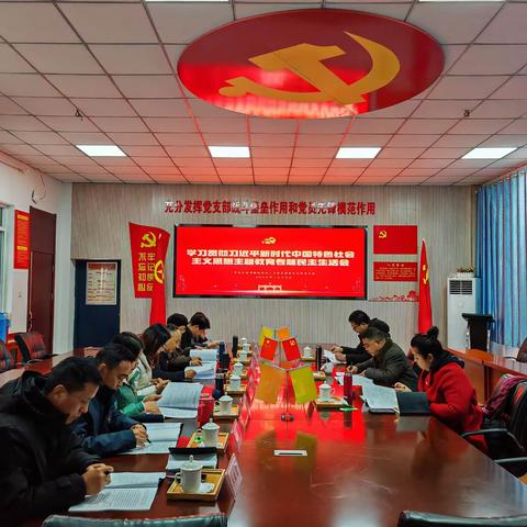 检视剖析|合肥市琥珀名城小学党总支召开主题教育专题民主生活会