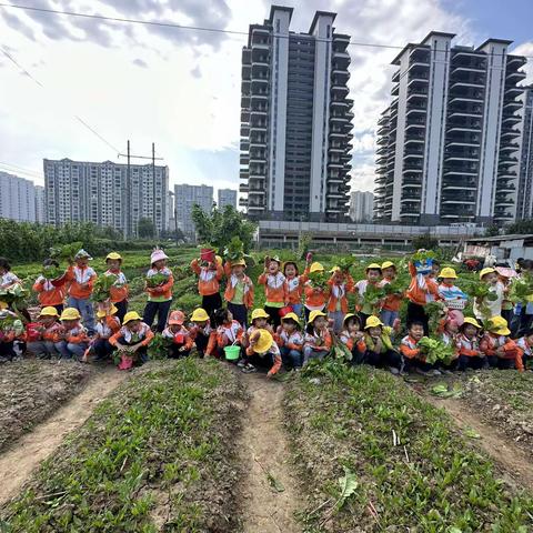 🌹🌈大庸幼儿园大一班第八周生活记录📝🌼