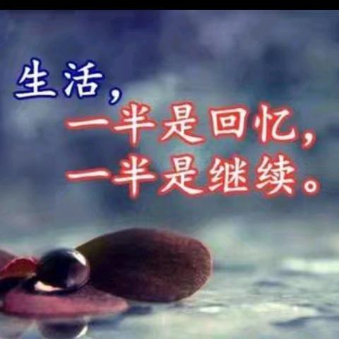 细数这十年——回望我的语文教学之路
