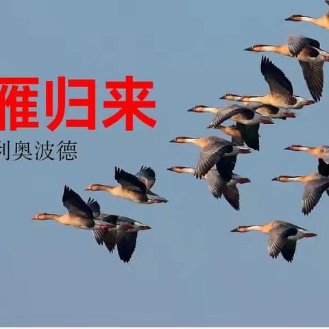 同课异构展风采 城乡联动促成长——刘粉工作室参与三原县城乡共同体名师引领活动小记