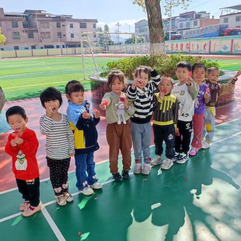 大桥镇中心小学附属幼儿园中班第十一周精彩回顾