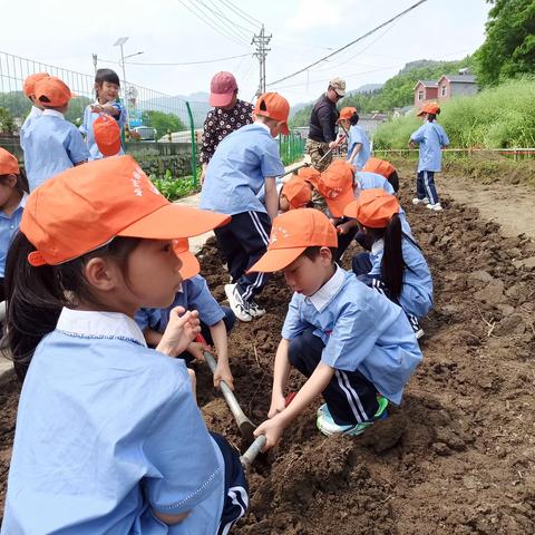 谷雨时节知多少