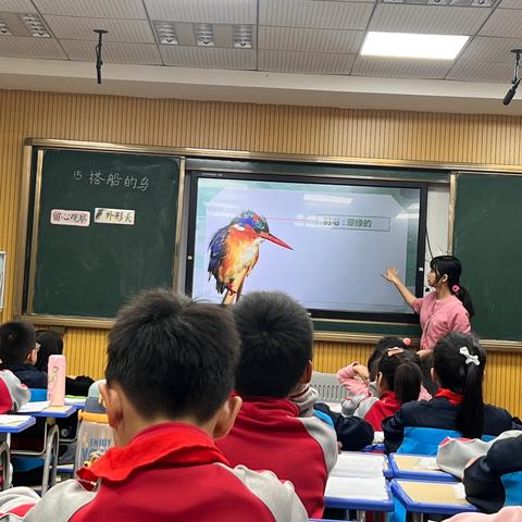 木叶动秋声，课堂携芳华一记永平小学语文组公开课《搭船的鸟》