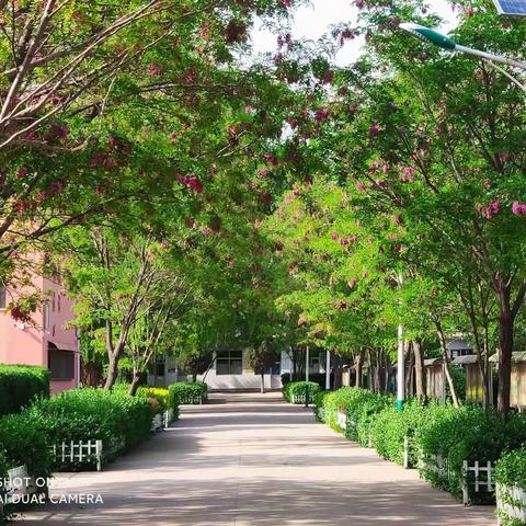 指导引领促交流，听课评课促成长——西营中心校与城内完小学区教研活动