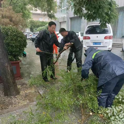 桥西区绿化管护队严阵以待应对强降雨