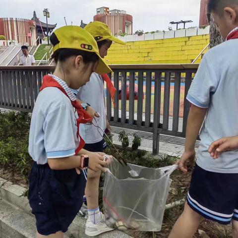 “加强环境卫生，共享绿色未来”——杭州师范附属西林小学206班中队“  红领巾阳光成长”在行动