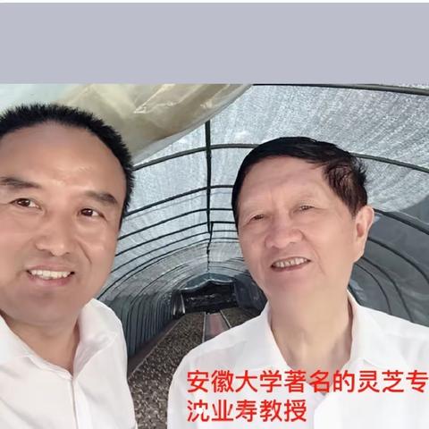 吴树清☎️13606793777