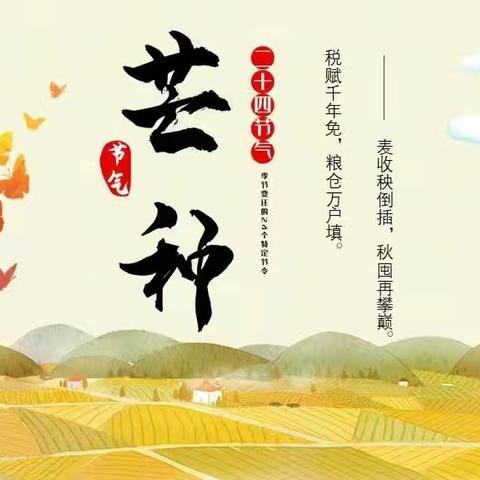 【龙头小学·全环境立德树人】仲夏至，芒种忙——龙头小学三年级中队二十四节气之芒种实践活动