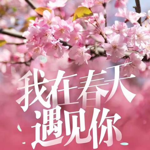 阳春花开日 学习正当时——武丘乡教师技能提升培训